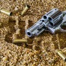 В США специалиста по оружию фильма «Ржавчина» признали виновной в убийстве