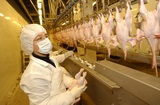 В семи регионах России замечен существенный рост цен на куриное мясо