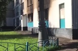 Восемь мигрантов погибли при пожаре в хостеле в жилом доме в Москве