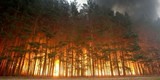 В Сибири бушуют лесные пожары