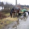 Украинского милиционера казнили, привязав к телеге с лошадьми