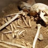 В московском парке в землянке найден скелет погибшего год назад мужчины