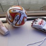 Миллион за футбольный мяч на аукционе Кержакова (ФОТО)