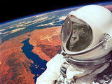 Вторая иранская обезьяна освоила космос