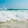 Названа предположительная дата открытия пляжей в России