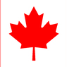 В Монреале в связи со смертью  Коэна приспустили государственные флаги Канады ВИДЕО