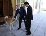 Путин не оценил "собачью дипломатию" Японии