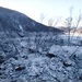 В Хабаровском крае ввели режим ЧС из-за обрушения сопки