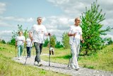 Губернатор Подмосковья назвал количество участников программы «Активное долголетие»