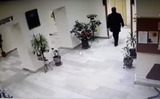 Убийство топ-менеджера компании-подрядчика «Лукойла» попало на видео
