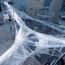 В Европе построят самолеты из искусственной паутины