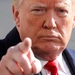 Трамп подтвердил, что отменил встречу с Путиным из-за конфликта России с Украиной