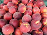 Жители смоленского села приноровились гнать экономный самогон из санкционных персиков