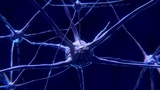 Учёные: даже лёгкое сотрясение мозга может привести к болезни Паркинсона