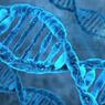 Эксперты: У каждого 9-го россиянина наблюдается опасная для жизни мутация генов