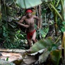 Ученые разгадали секрет амазонского племени, помогающий продлить жизнь