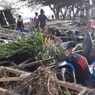 Число жертв цунами в Индонезии достигло 384 человек