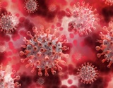Глава ВОЗ подтвердил, что "омикрон" распространяется быстрее других штаммов коронавируса