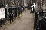 По кладбищам Москвы запустят электрокары
