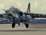 Губернатор Приморья обещал владельцу участка компенсацию за падение Су-25