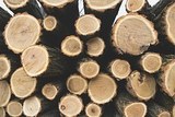 Год назад в Приморье четверо мужчин убили двух человек за отказ грузить дрова