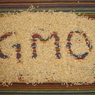 Госдума обсудит за круглым столом использование ГМО