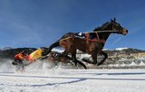 Испания: В Пиренеях можно будет покататься за лошадью на лыжах
