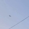 В Нижегородской области при атаке БПЛА погиб человек