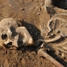 Следствие раскрыло тайну костей в подполе барнаульского дома