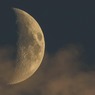 SpaceX назвал имя туриста, который отправится в полёт к Луне