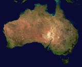 В Австралии из-за наводнения завелись загадочные существа (ФОТО)