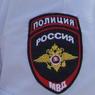 МВД подтвердило задержание православных погромщиков