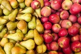 Россельхознадзор запретил поставки белорусских яблок и груш