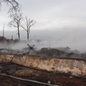 Правительство РФ запретило сжигать сухую траву